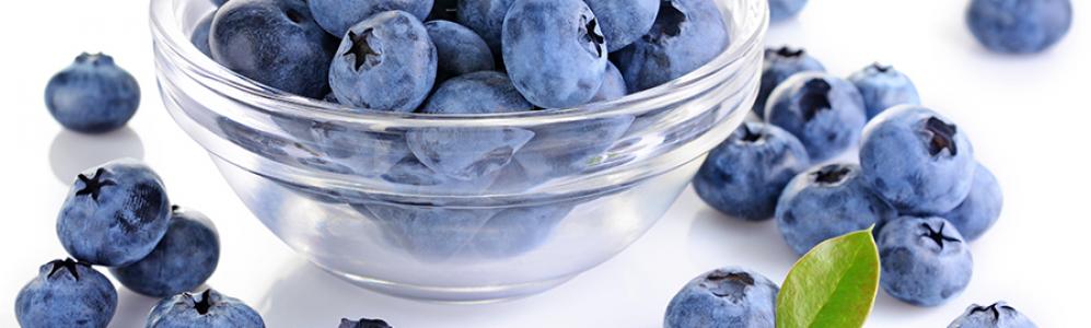 Highbush blueberries in bowl