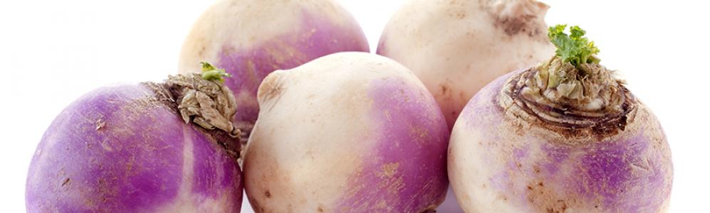 Purple Turnips