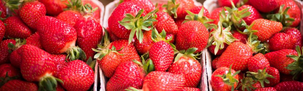 baskets of strawberries