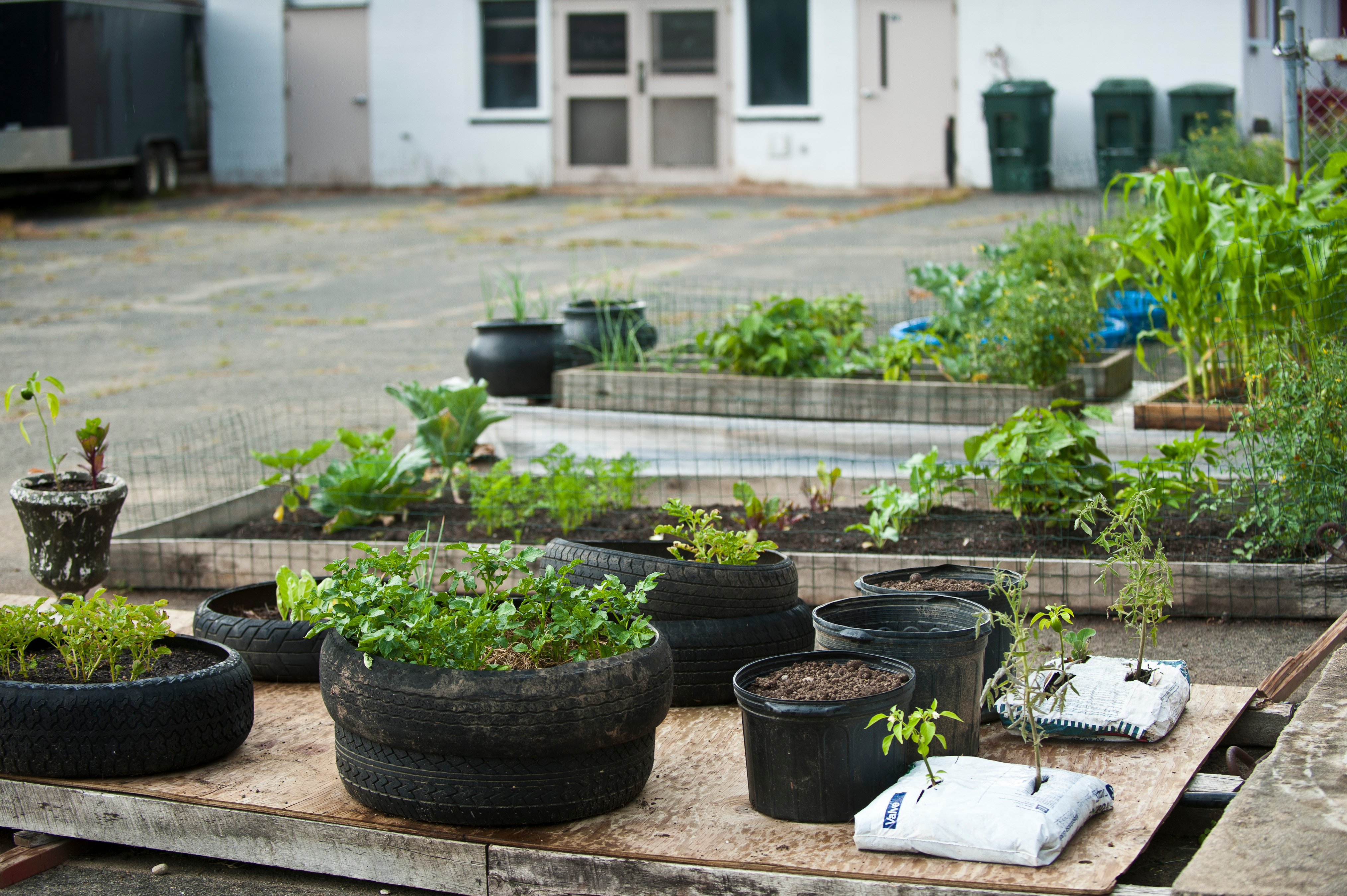 Urban Agriculture Resources