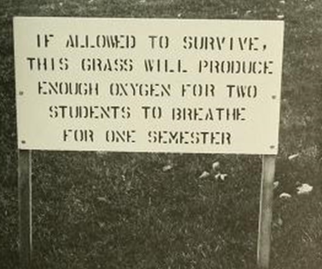 The visionary words of wisdom from the SSA Turf Class of 1975 on the life sustaining benefits of turfgrass to society