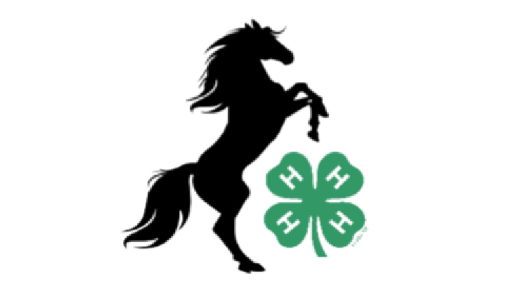 Mass 4-H Horse Project Record