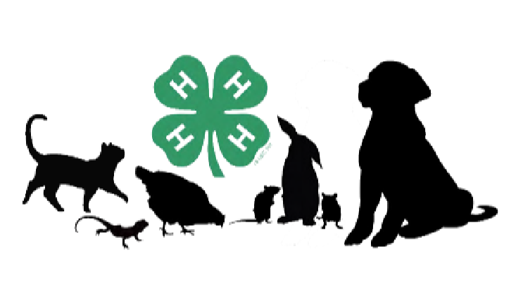 Mass 4-h Pet & Small Animal Project Record