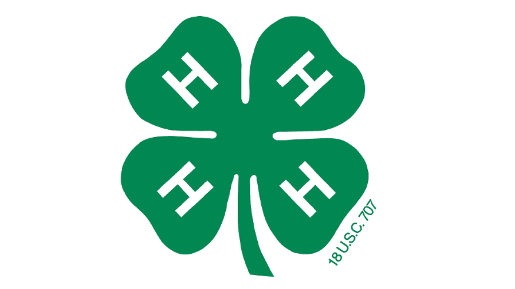 4-H Project Record