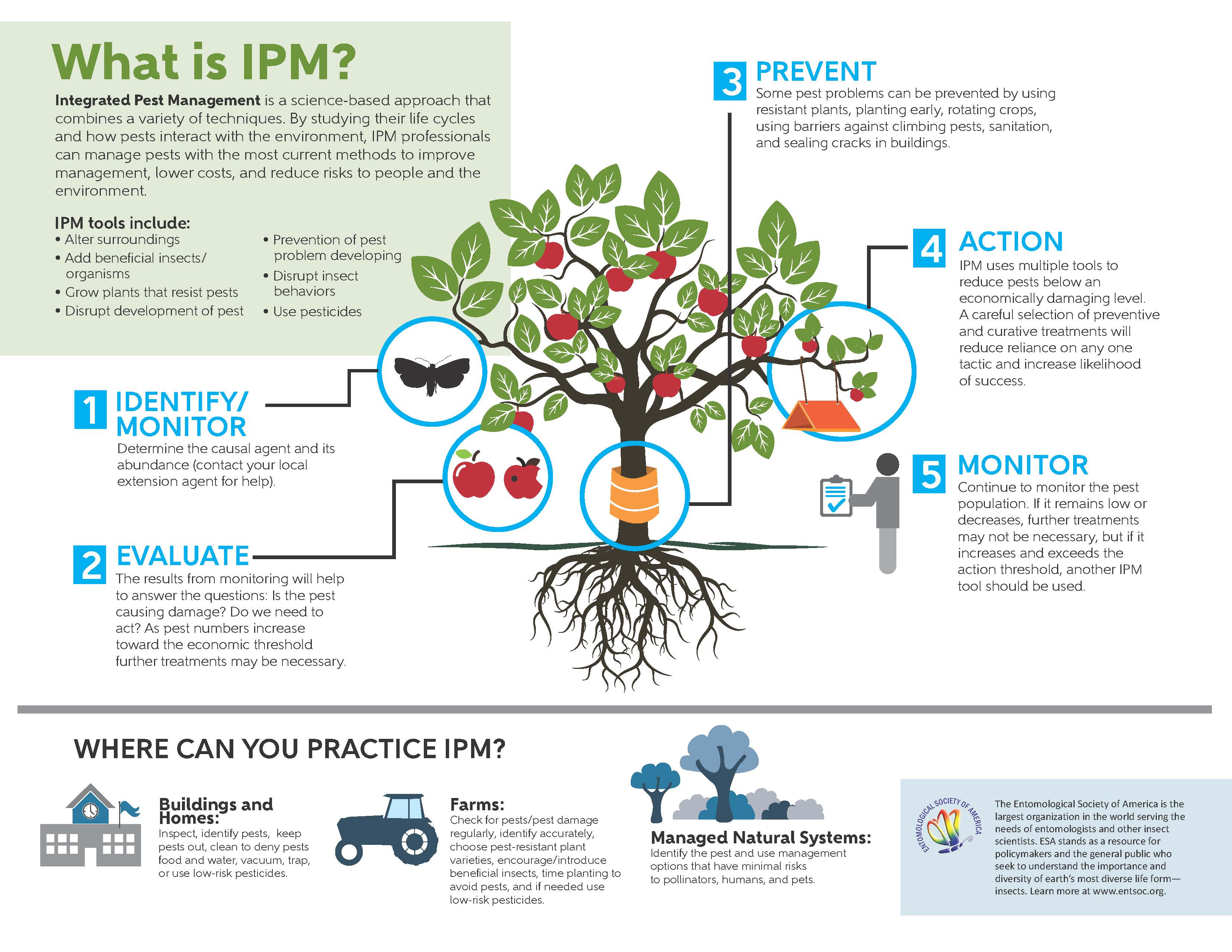 What is IPM - ESA Infographic